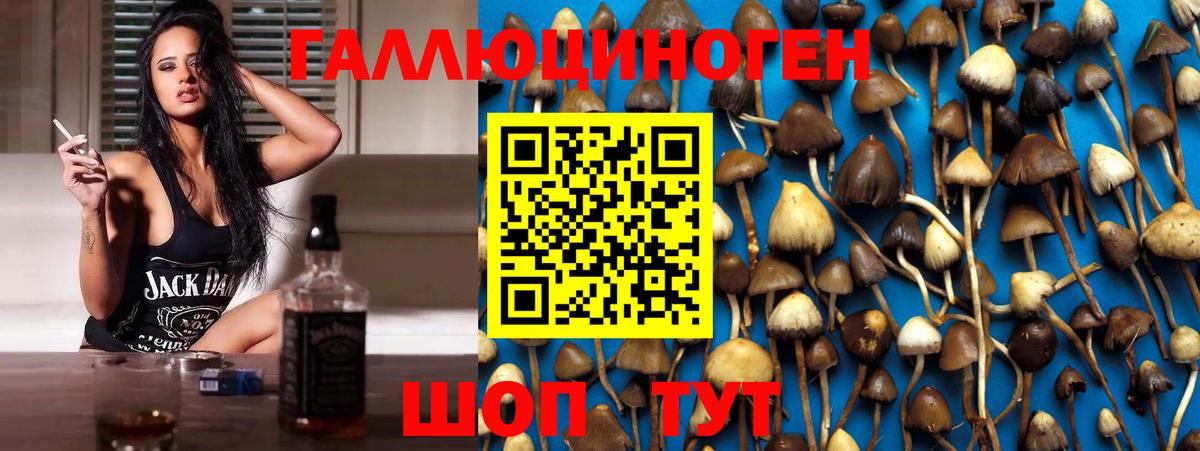 Галлюциногенные грибы мицелий  Псилоцибиновые грибы Psilocybine cubensis  где можно купить   Вход с VPN  Прокопьевск 